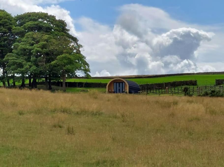 High Whashton Springs Glamping Pod, Richmond Yorks公寓 外观 照片